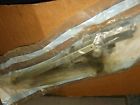 16631405 Gm Impala Ss Lh Rear Door Window Regulator Nos Caprice