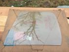3999359 Gm Chevrolet Blazer Lh Door Window Nos