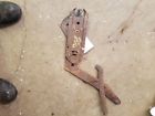 125.gm1s58 58 Chevrolet 1958 Door Window