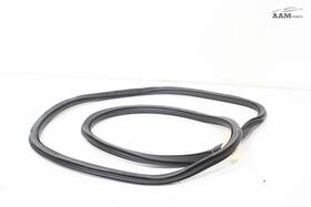 8w0831721b Audi 2017-2023 A4 B9 Front Right Passenger Side Doorway Weatherstrip Seal Oem