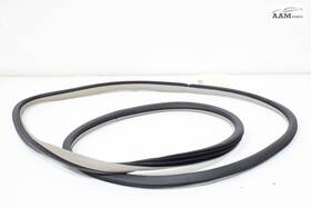 84056851 Cadillac 2014-2019 Cts Front Left Driver Door Body Weatherstrip Rubber Seal Oem