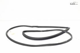 68188725ae Chrysler 2017-2019 Pacifica Front Left Side Door Weatherstrip Seal Rubber Oem