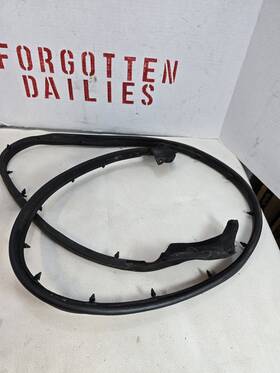 5231284 Dodge Rampage Door Seal Shelby Charger Glhs