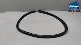 Freightliner 18-67991-004 2018-2024 Cascadia Driver Door Window Glass Inner Seal Oem