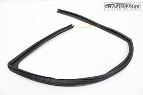 52031110 Gm 2015-22 Chevrolet Colorado Front Left Driver Door Glass Window Channel Seal Oem