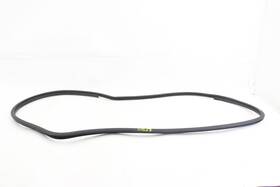Lexus 67861-46030 2024 - 2025 Rz300e Front Left Side Door Inner Weatherstrip Seal Oem #20527