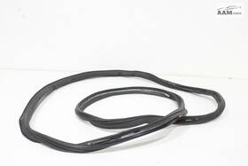 Jl1z-78404a06-b Lincoln 2018-2023 Navigator Rear Tailgate Liftgate Weatherstrip Seal Oem