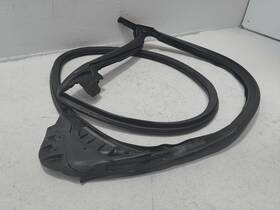 6009583-00-m Tesla 2012-2020 S Front Left Driver Door Opening Seal Weatherstrip Oem