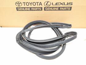 Toyota 68762-06040 07-11 Camry Left Front Door Weatherstrip With All Clips Side