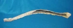 Nos Gm 73-78 Ck 1 2 Blazer Jimmy Front Door Glass Weatherstrip Seal Rh 369558. Fixed Price $79.95.