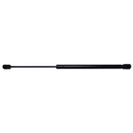 Back Glass Lift Support Strong Arm D6194 Fits 06-10 Jeep Commander. Fixed Price $22.16.