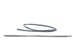 2007-2011 Toyota Camry Door Window Seal & Belt Rear Driver Side Left Oem. Fixed Price $54.99.