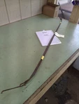 67-68 Mustang Coupe Headliner Bows. Fixed Price $175.00.