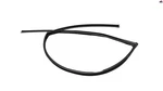 Front Passenger Door Window Glass Run Channel Seal Honda Civic 2016-2021 Oem. Fixed Price $41.40.