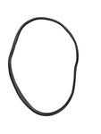 2024 Tesla Cybertruck Rear Left Door Weather Strip Seal Gasket 1807547-00-D Oem. Fixed Price $153.00.