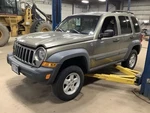 Passenger Rear Window Regulator Electric Fits 02-06 Liberty 330730. Fixed Price $83.74.