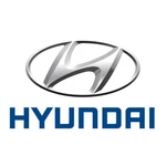 Genuine Hyundai Run Assy Front Dr Wdo Glass Right-hand 82540-S8000. Fixed Price $225.89.