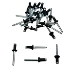 25 Window Regulator Peel Type Rivets Auveco 12653 Ford 388047-S102 1981-ON. Fixed Price $24.94.