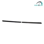 2020-2023 Tesla Model Y Front Passenger Door Window Belt Molding Oem Corrosion. Fixed Price $59.99.