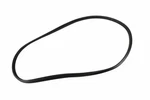 Genuine Gm Liftgate Window Weatherstrip 20963245. Fixed Price $83.06.