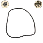 16 - 19 Bmw 330I Oem Front Left Driver Side Door Seal Weather Stripping Rubber. Fixed Price $25.00.