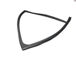 Rear Left Driver Side Door Window Glass Run Channel Seal Nissan Altima 19-25 Oem. Fixed Price $35.14.