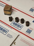 1949-50 1971-74 Chevrolet Spring, Vent Pivot Shaft Gm P/n 4162191 Set Of Nos. Fixed Price $25.00.