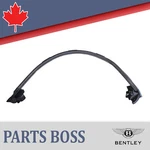 Bentley Continental Gtc 2011-2018 Oem New Door Window Seal. Fixed Price $511.08.