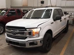 Oem Rear Window Regulator Ford F150 Pickup Right And Mtr Tested Gd. Fixed Price $114.99.