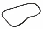 Genuine Gm Glass Weather-strip 84921039. Fixed Price $47.70.