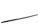 07 Bmw X5 E70 Right Passenger Rear Back Door Window Glass Trim Belt Molding Seal. Fixed Price $49.99.